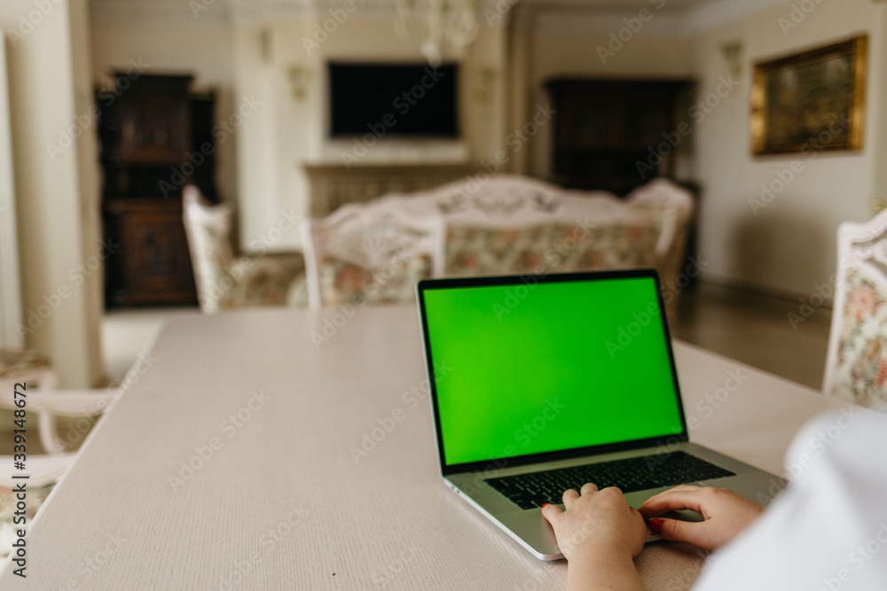 Fototapeta premium Woman using laptop with green screen. Woman's hands typing on a laptop keyboard. Business, communication, freelance and internet concept