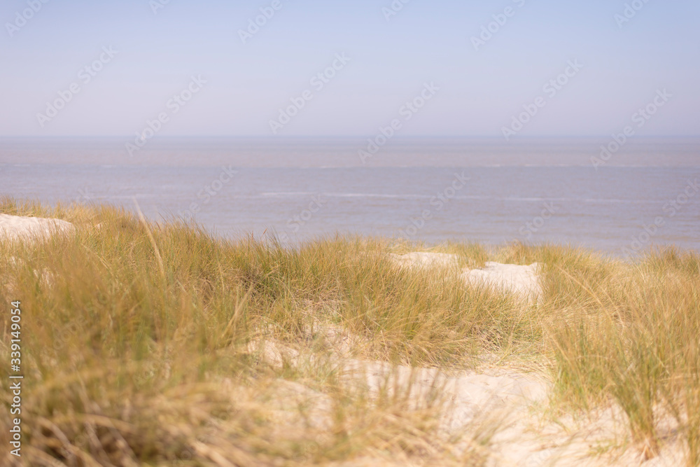 Dunes, sand and sea in summer.