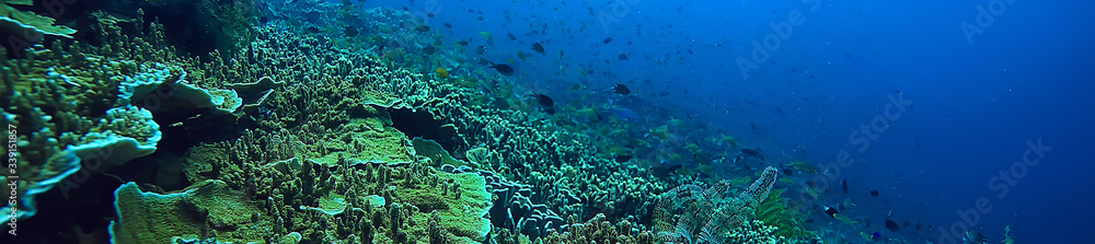 Fototapeta premium under water ocean / landscape underwater world, scene blue idyll nature