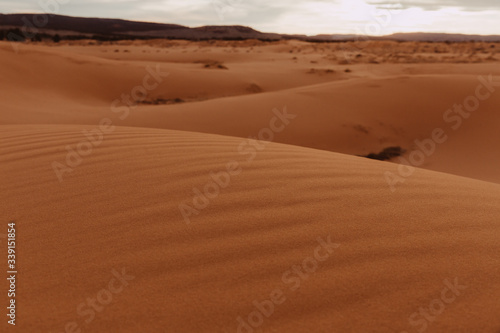 Fototapeta Naklejka Na Ścianę i Meble -  Sand Dunes