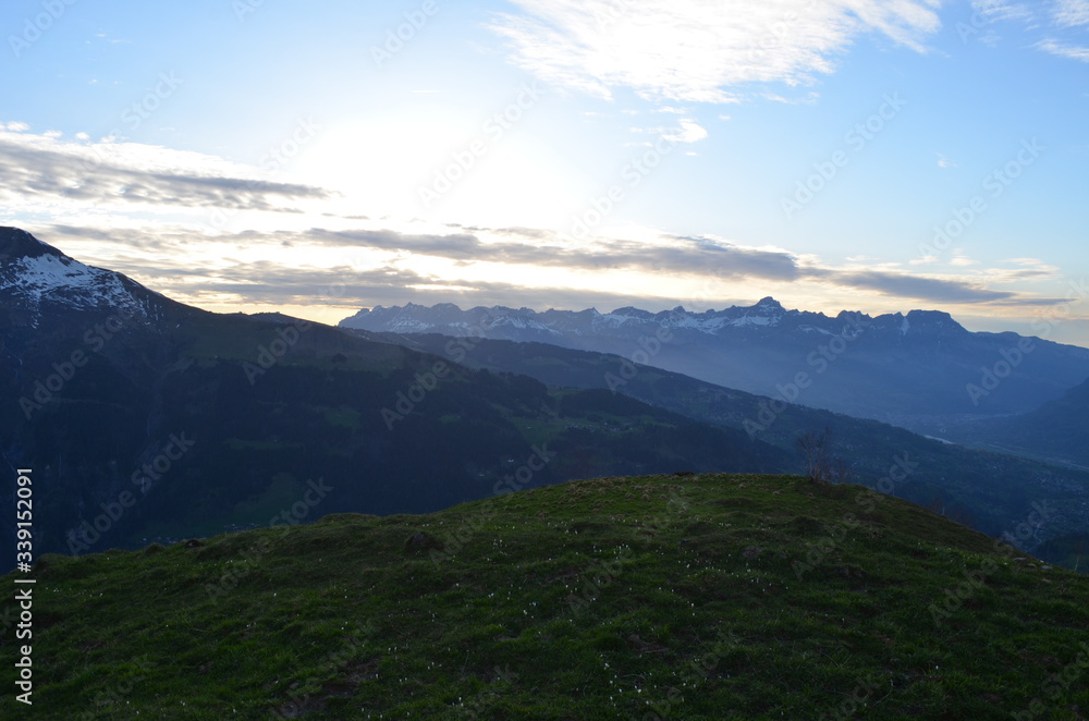 Fototapeta premium Truc