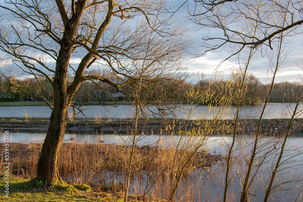 Abenddämmerung im Frühling am Obersee in Bielefeld, Ostwestfalen. Abenddämmerung im Frühling am Obersee in Bielefeld, Ostwestfalen.