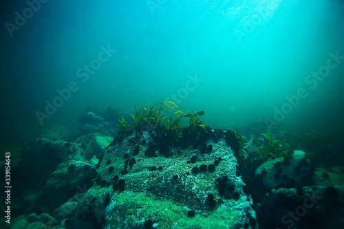 sea water texture, underwater background © kichigin19