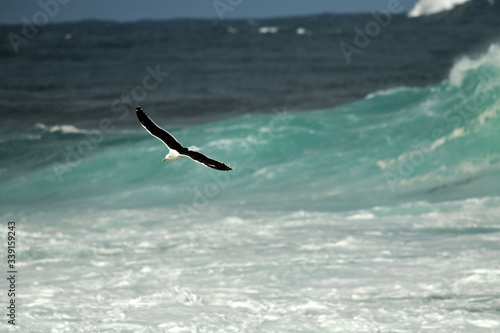 raging ocean with large white waves in the region of the cape of good hope in the south african republic