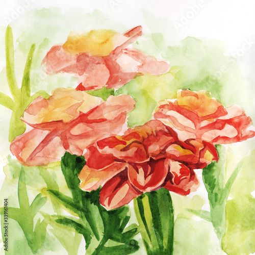 Watercolor wildflowers  hand-drawn  flower illustration  green bushes .Cute composition for a postcard