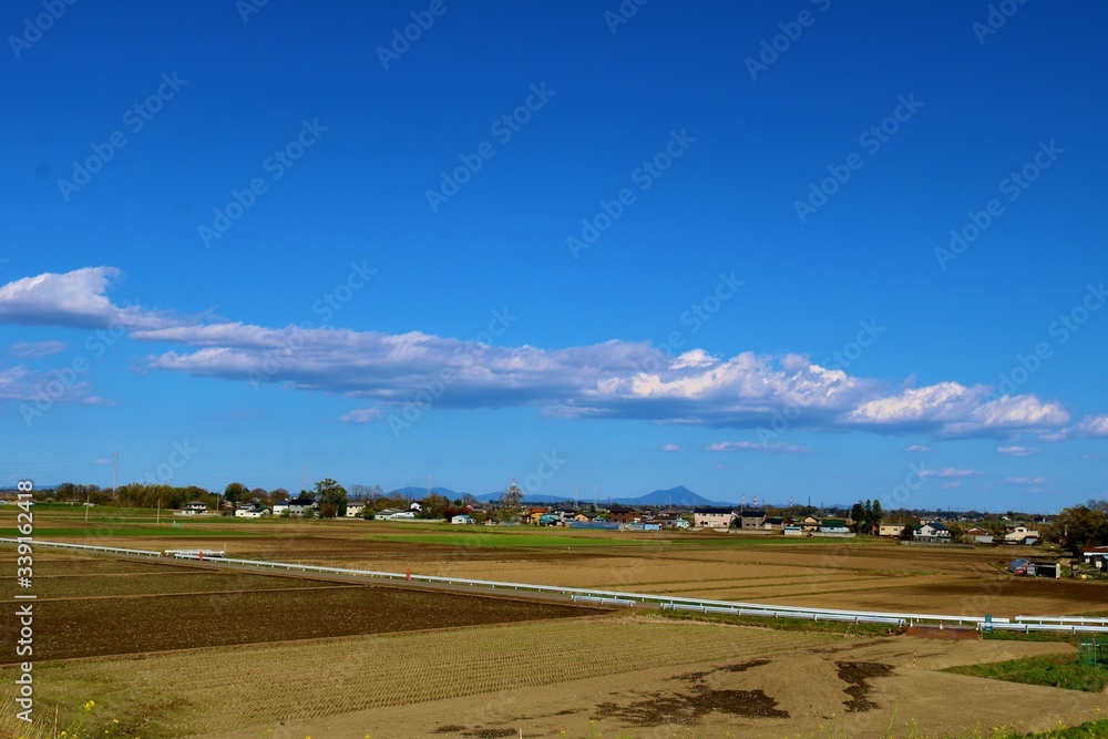 Obraz premium 春 空 爽やか 渡良瀬 風景 杤木