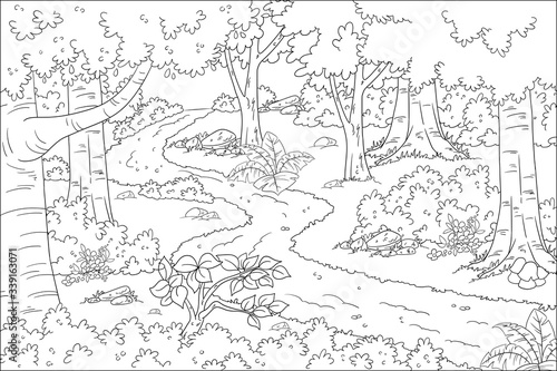 Coloring book landscape. Hand drawn vector illustration with separate layers.