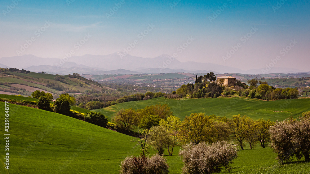 Panorama of the rolling green countryside hills of Passo Ripe, near Senigallia, Le Marche, Italy with the mountains in the distance