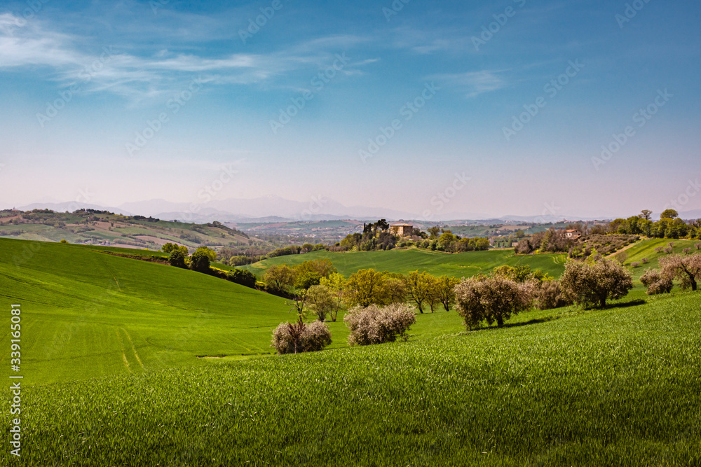 Panorama of the rolling green countryside hills of Passo Ripe, near Senigallia, Le Marche, Italy with the mountains in the distance