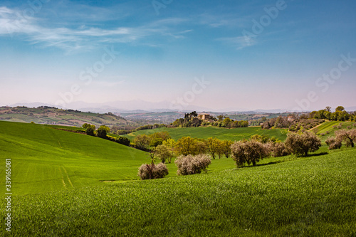 Obraz na płótnie Panorama of the rolling green countryside hills of Passo Ripe, near Senigallia, Le Marche, Italy with the mountains in the distance w salonie