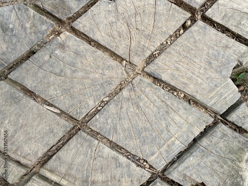 Canvas-taulu Diagonal cuts made on an already cut tree trunk.