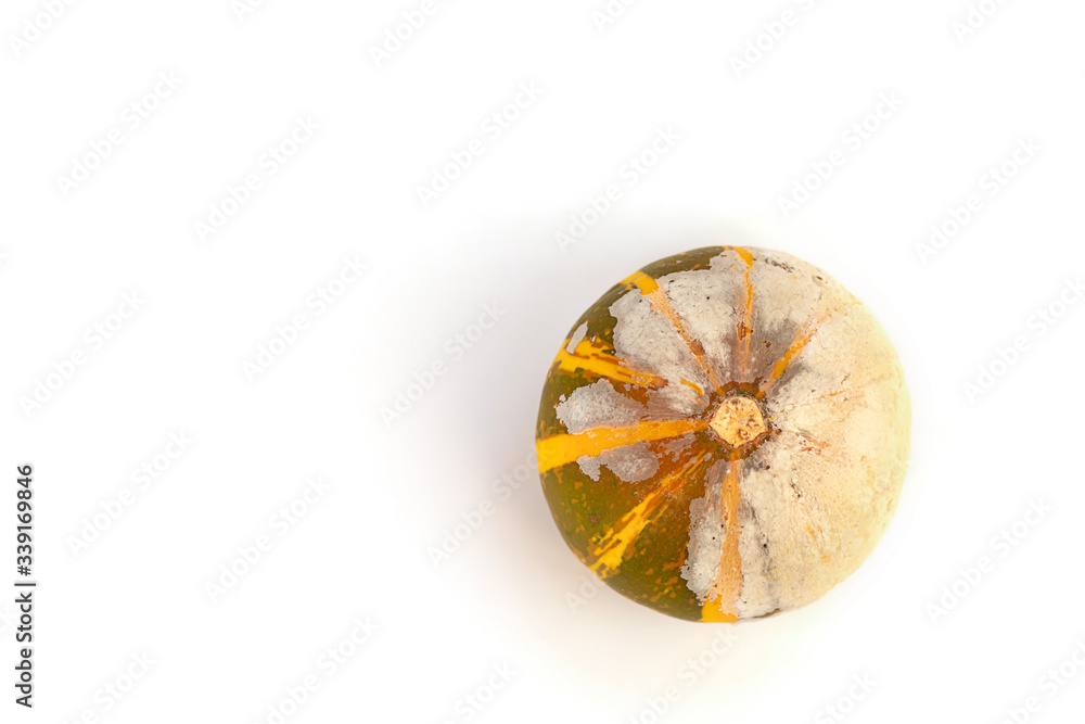 Moldy pumpkin on a white background with copy space. Ugly food. Flat lay. Top view Moldy pumpkin on a white background with copy space. Ugly food. Flat lay. Top view