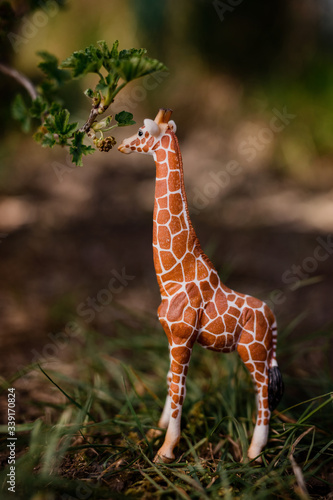 Photography Giraffe toy figure