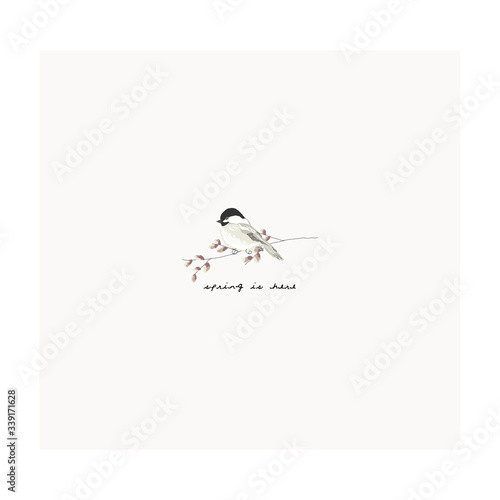  hand drawn little tit bird on a willow tree 