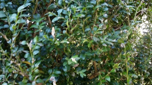 Wallpaper Mural Eibe Torontodigital.ca