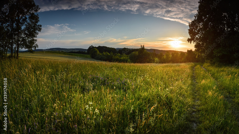 Green summer meadow in sunset light at Lower Silesia/Poland