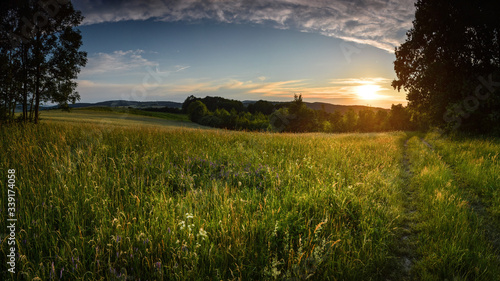 Obraz na płótnie Green summer meadow in sunset light at Lower Silesia/Poland w salonie