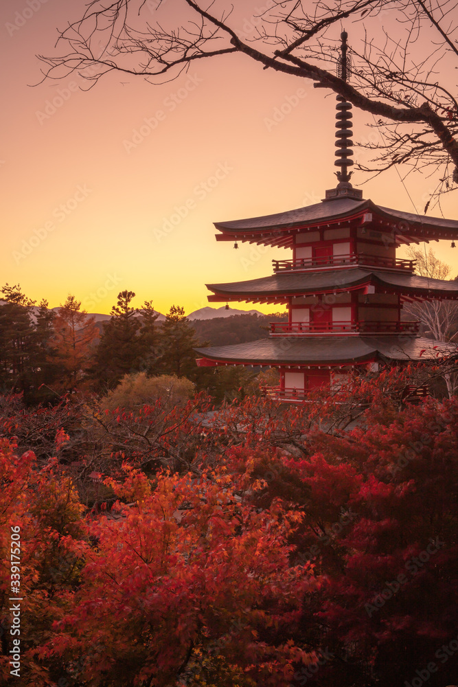 Naklejka premium 山梨県 新倉山浅間公園 富士山 紅葉 夕景