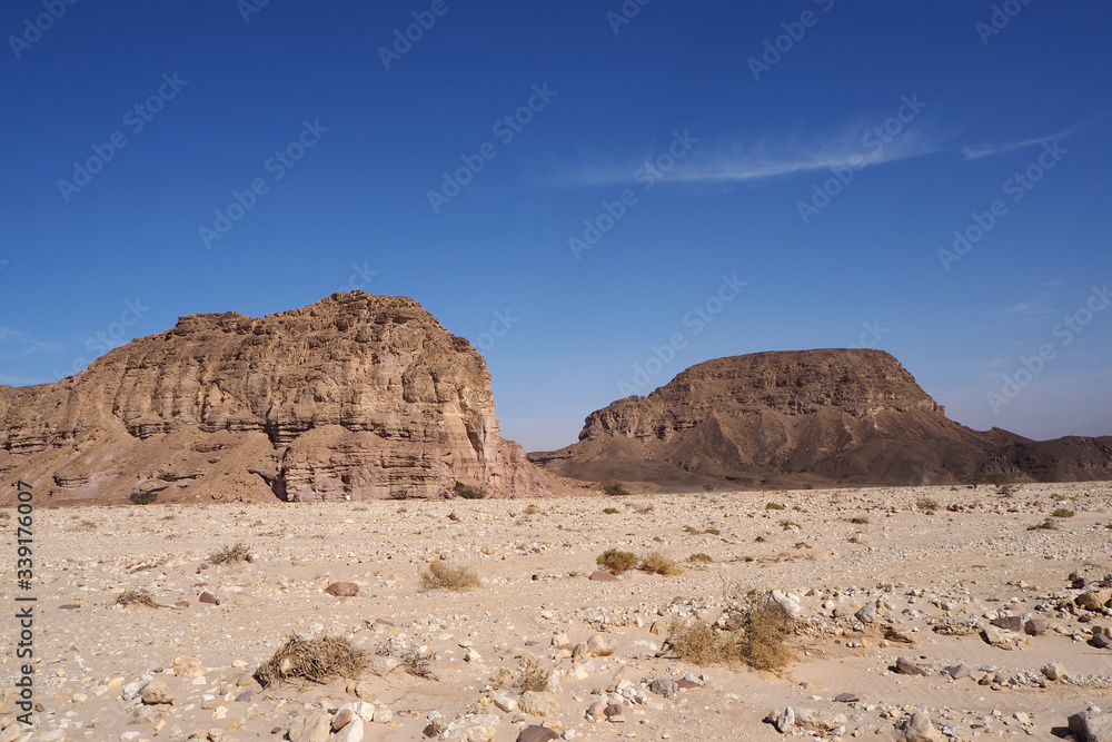 The desert landscape with far dark mountains, rocky sand field, the blue sky with one white cloud.