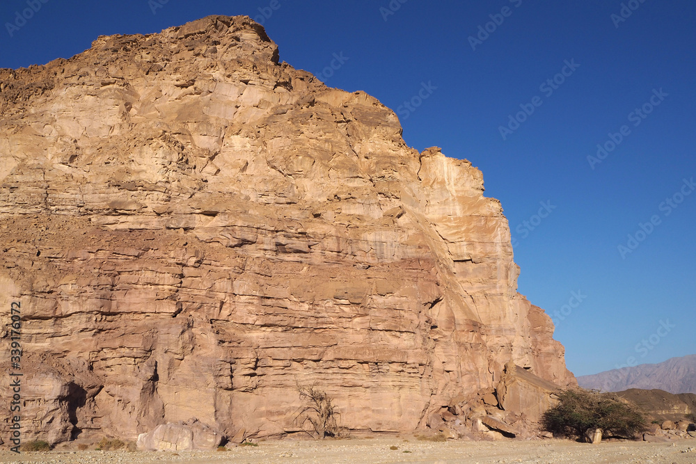 Fototapeta premium The high sandstone rock in the desert and the blue sky