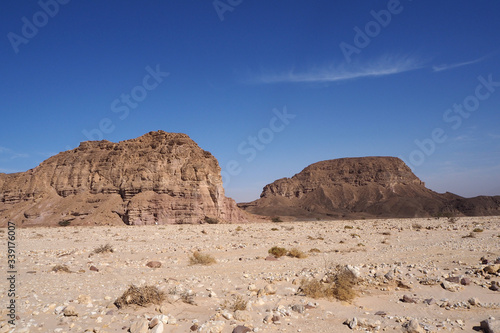 The desert landscape with far dark mountains  rocky sand field  the blue sky with one white cloud.
