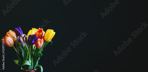 bouquet of colorful bright tulips on a dark background with a copy of the space
