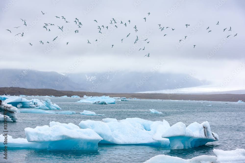 Gorgeous evening landscape with floating icebergs and birds in Jokulsarlon glacier lagoon, Iceland