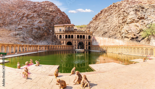 Monkey Temple and playing monkeys near the pool, Jaipur, India