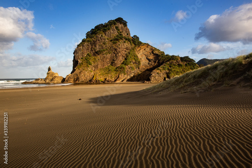 Sand dunes on Piha Beach  New Zealand