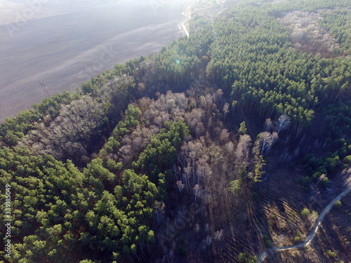 Drone view of the mixed forest and agricultural fields in sunny spring day. Near Kiev