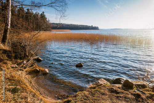 lake near forest, beautiful landscape by the river