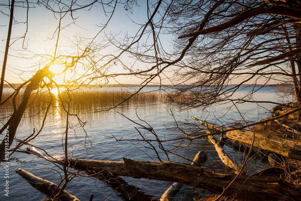 evening landscape, sunset over the lake, broken tree in water evening landscape, sunset over the lake, broken tree in water