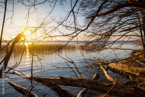 evening landscape, sunset over the lake, broken tree in water