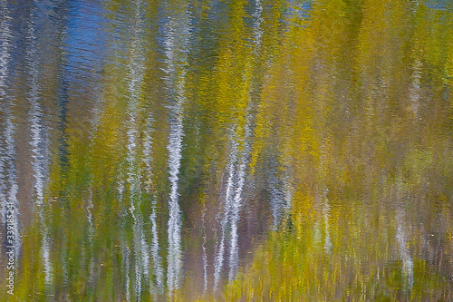 Autumn forest reflected in the river