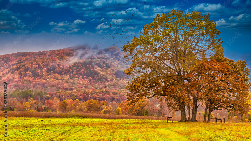 Fototapeta premium Season changing in the mountains