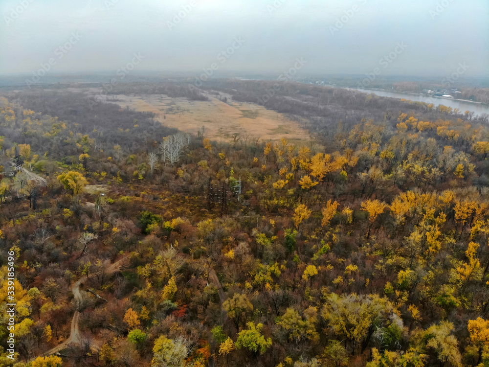 Scenic aerial view of beautiful autumn forest