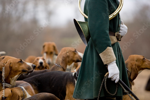 Journée traditionnelle de chasse a courre