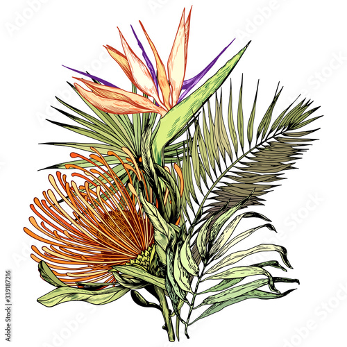 Tropical bouquet with Pincushion protea, Paradise bird flowers and green palm leaves.