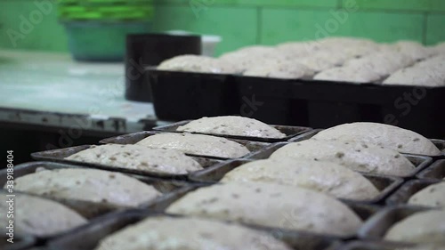 Wallpaper Mural Baking bread in a home oven. bread baking forms at home. Dough in forms. Torontodigital.ca