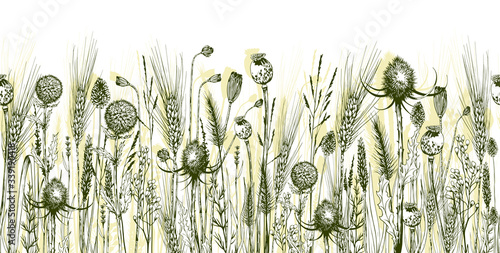 Seamless horizontally background with green meadow herbs, thistles and wild flowers.