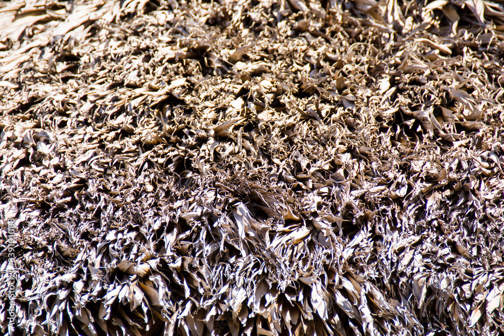 detail of a grass roof