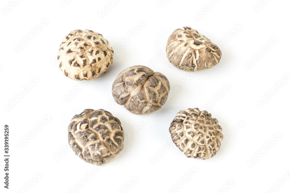 Shiitake mushrooms in white background Shiitake mushrooms in white background