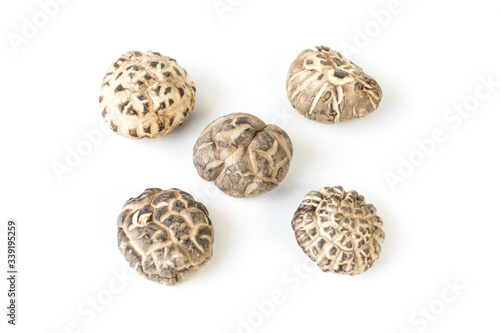 Shiitake mushrooms in white background