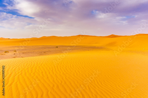 Beautiful landscape of the dunes in the Sahara Desert  Merzouga  Morocco