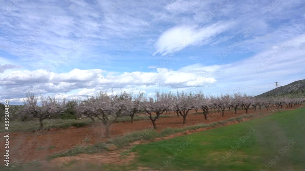 Travel through the landscape of Spain along the beautiful majestic countryside among fields of Almond trees. Travel through the landscape of Spain along the beautiful majestic countryside among fields of Almond trees.
