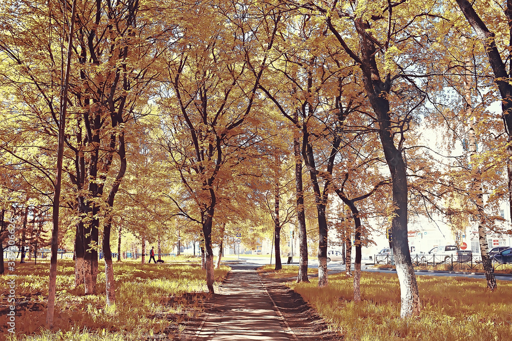 October landscape / autumn in the park, yellow October trees, alley in the autumn landscape