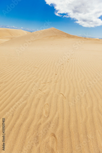 Unrecognizable foot tracks in the desert. Warm weather in summer holidays. Travel to Canary Islands concept. Maspalomas natural dry dunes landscape. Spring vacations in spanish destination.