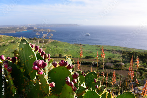 Nadmorski krajobraz © PAWEL