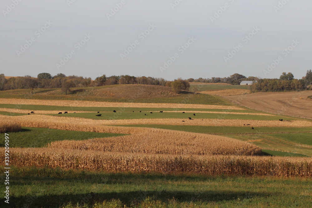 Obraz premium Field Patterns