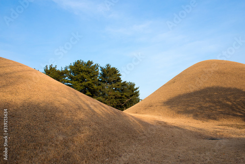 Daereungwon Ancient Tombs in Gyeongju-si  South Korea. Daereungwon is the grave of kings of the Silla era. 